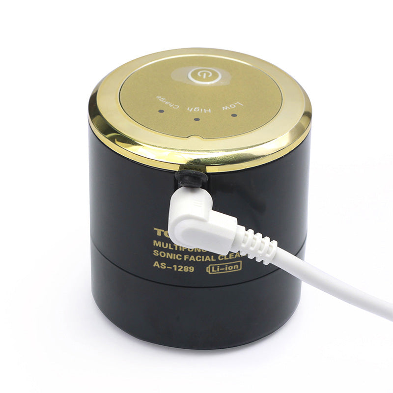 2-in-1 Electric Sonic Facial Cleansing Tool